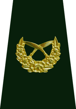 Brigadier General (सहायक रथी)