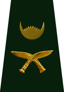 Lieutenant (उप सेनानी)