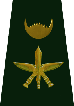 Lieutenant Colonel (प्रमुख सेनानी)