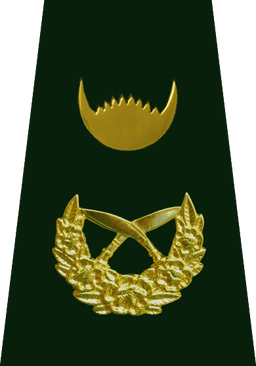 Major General (उप रथी)
