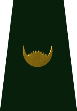 Warrant Officer First Class (जमदार प्रथम श्रेणी)