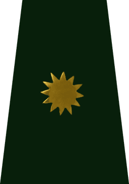 Warrant Officer Second Class (जमदार द्वितीय श्रेणी)